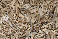 biomass boilers Arinagour